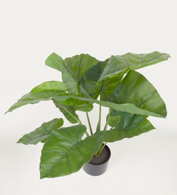Искусственное растение Alocasia пахучая с черным горшком 57 см