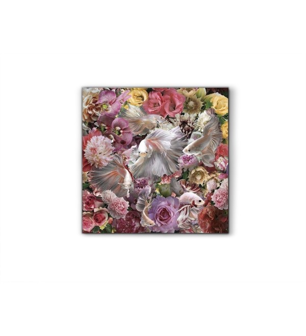 Фотография Peces Luchador Siam 120x120 см