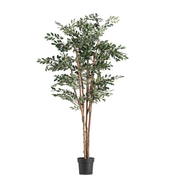 Искусственное растение FICUS 37730