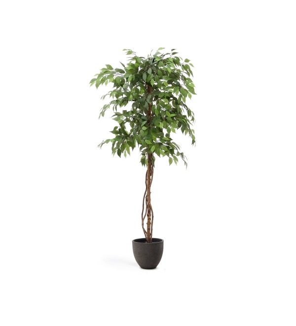 Ficus Искусственное дерево фикус в черном горшке 180 см