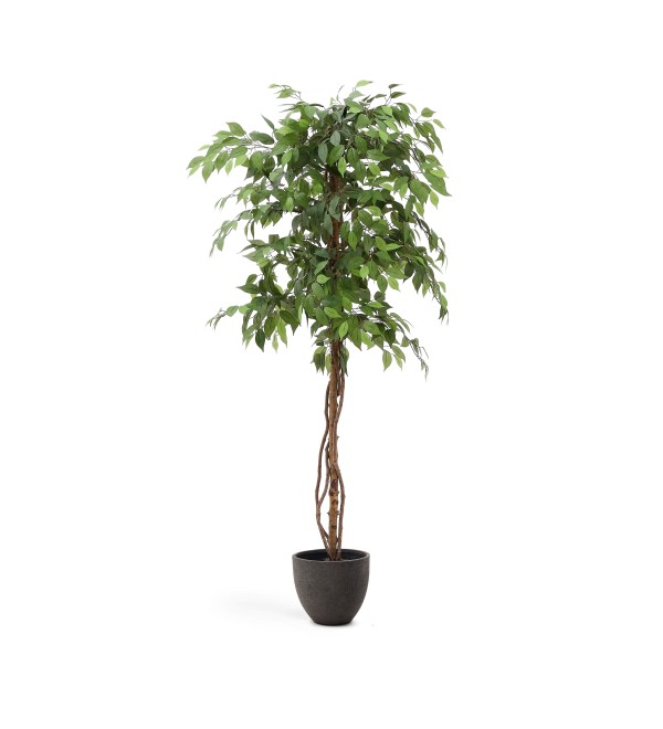 Ficus Искусственное дерево фикус в черном горшке 180 см