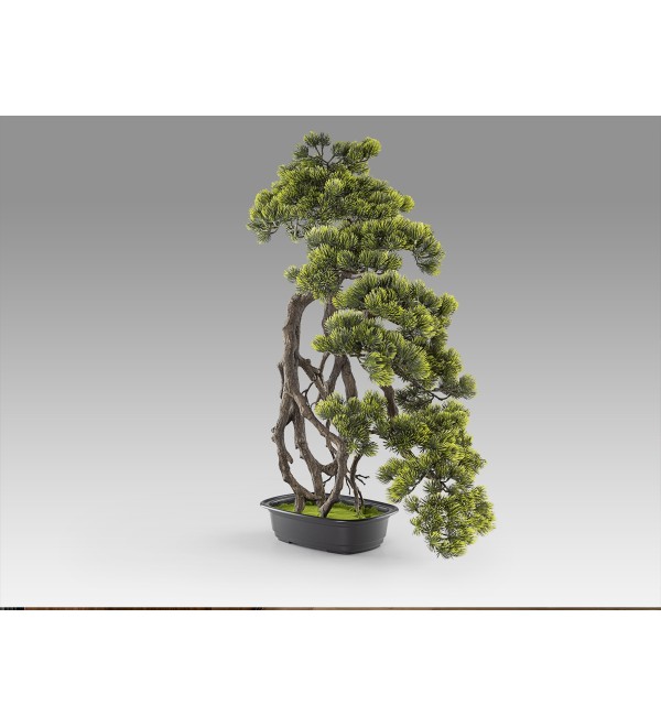 Kengai bonsai 74CM Искусственное растение
