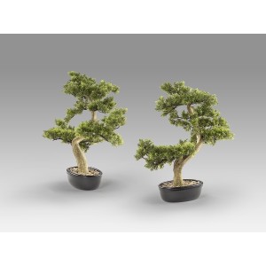 Bankan - bonsai 75cm Искусственное растение из 2 предметов