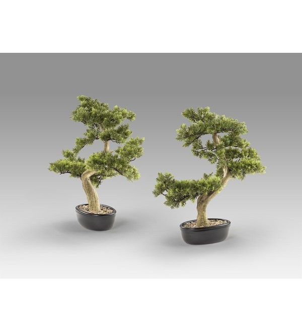 Bankan - bonsai 75cm Искусственное растение из 2 предметов