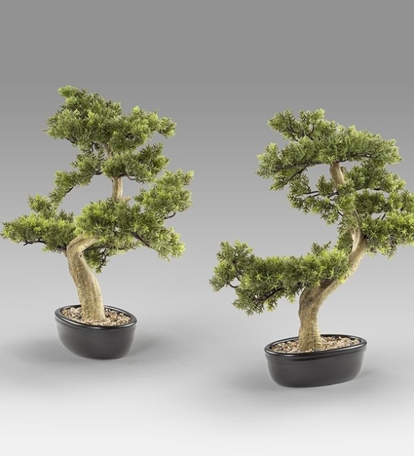 Bankan - bonsai 75cm Искусственное растение из 2 предметов