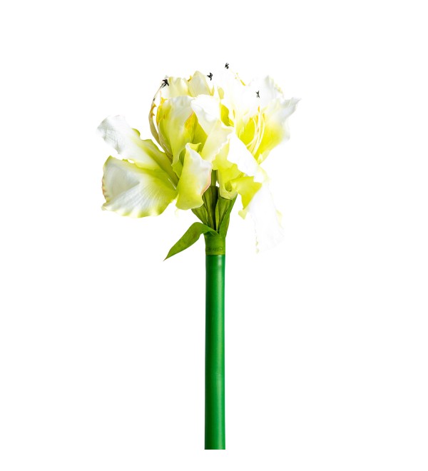 Цветок AMARYLLIS цвет белый