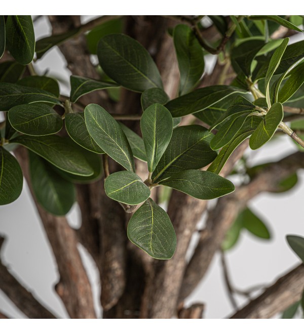 Искусственное растение FICUS 38083