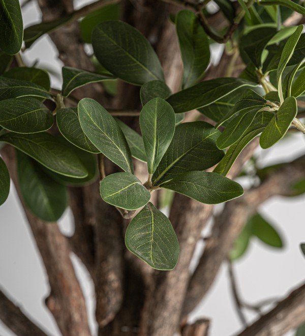 Искусственное растение FICUS 38083