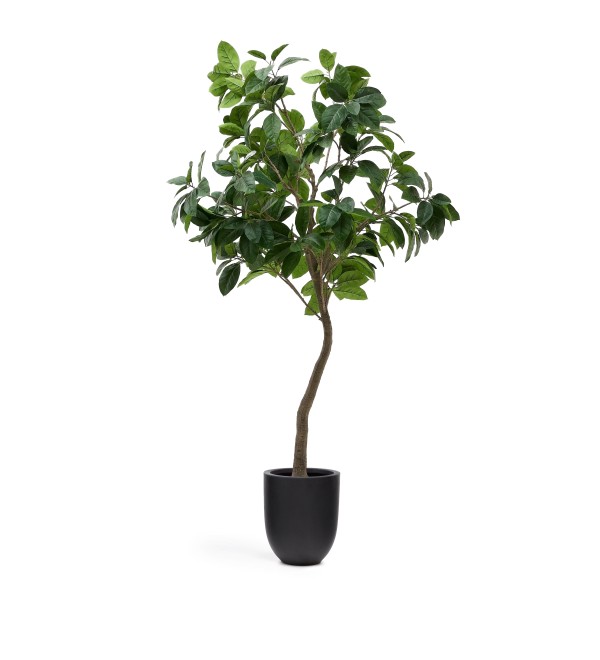 Ficus Искусственное дерево фикус в черном горшке 210 см