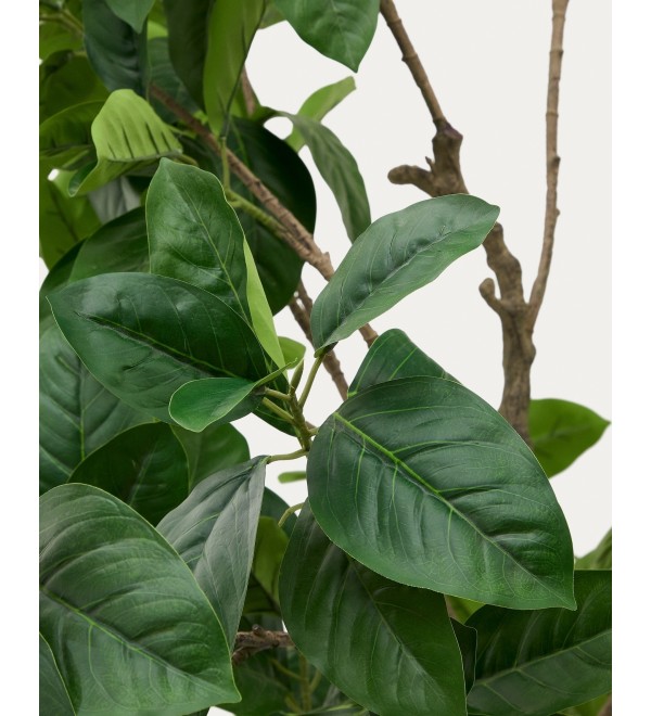 Ficus Искусственное дерево фикус в черном горшке 210 см