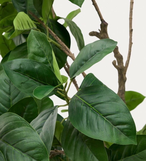 Ficus Искусственное дерево фикус в черном горшке 210 см