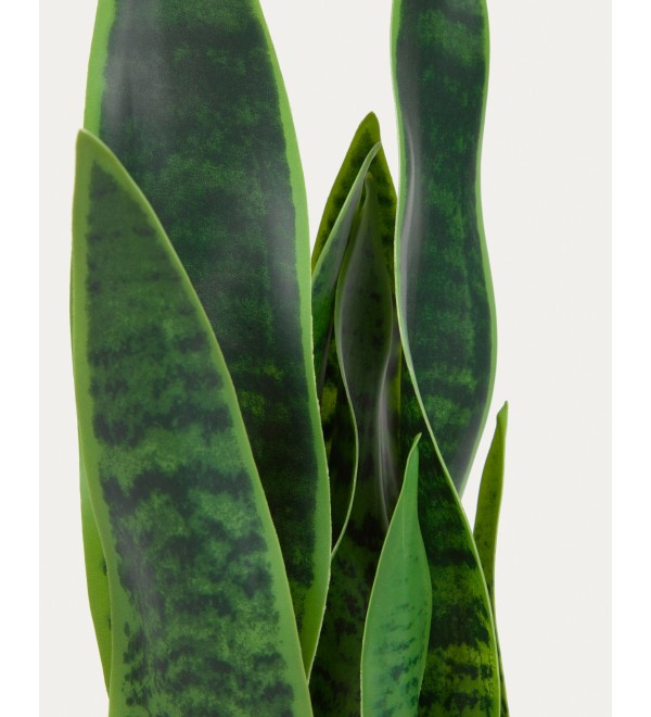 Искусственное растение Sansevieria с белым горшком 55 см