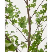 Enkianthus Искусственное дерево с черным горшком 214 см