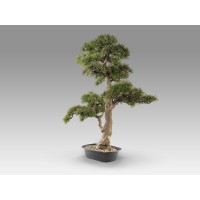 Chokkan - bonsai 83cm Искусственное растение