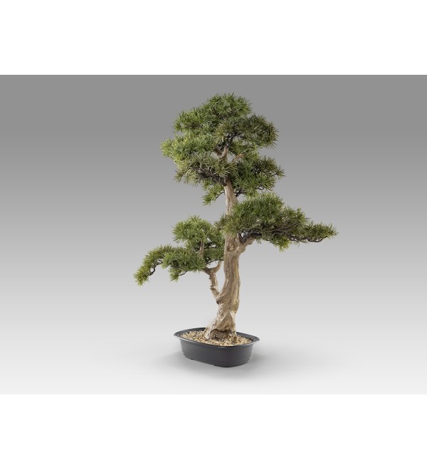 Chokkan - bonsai 83cm Искусственное растение