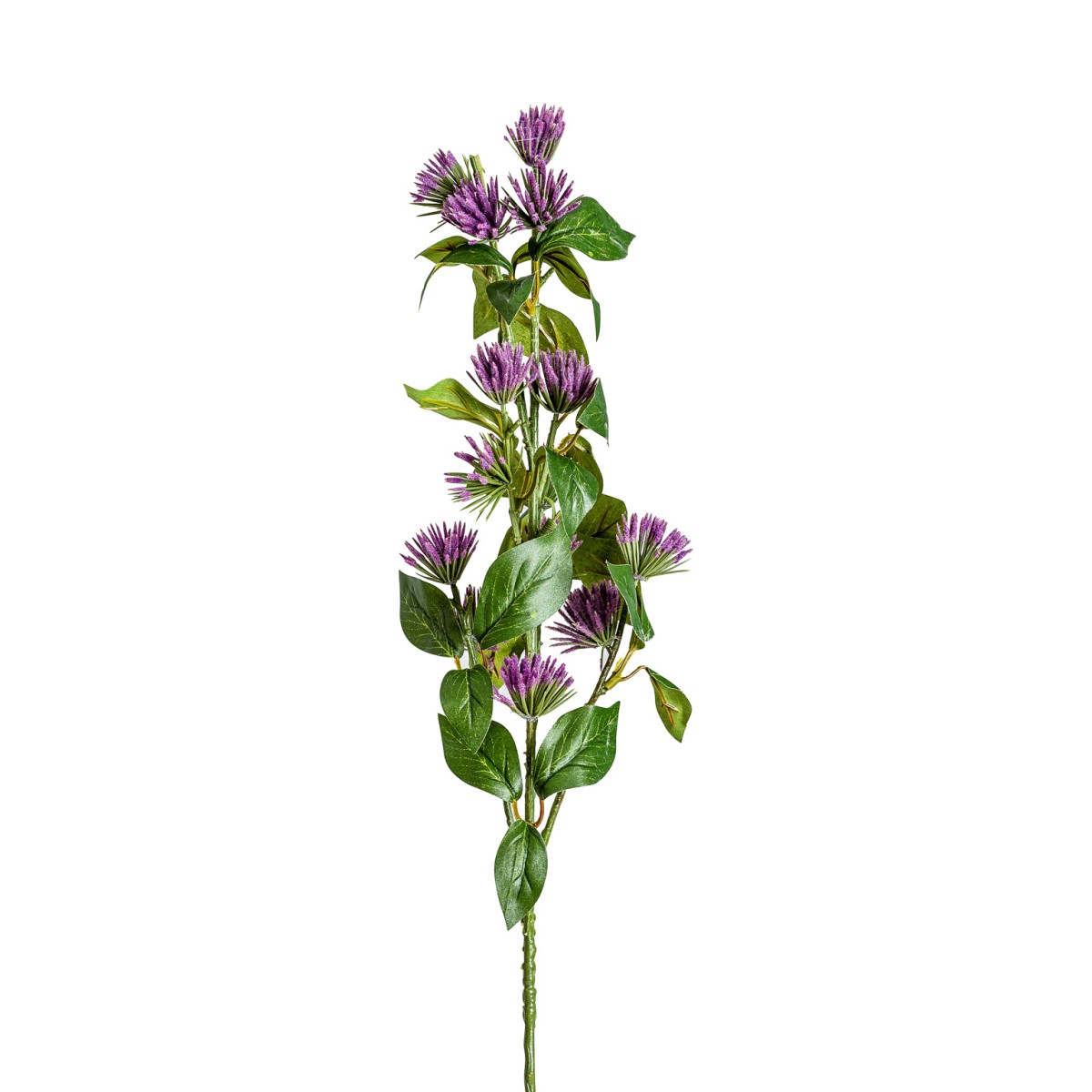 Цветок фиолетового цвета CENTAUREA