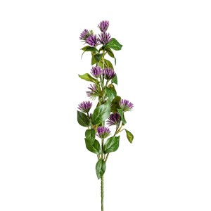 Цветок фиолетового цвета CENTAUREA