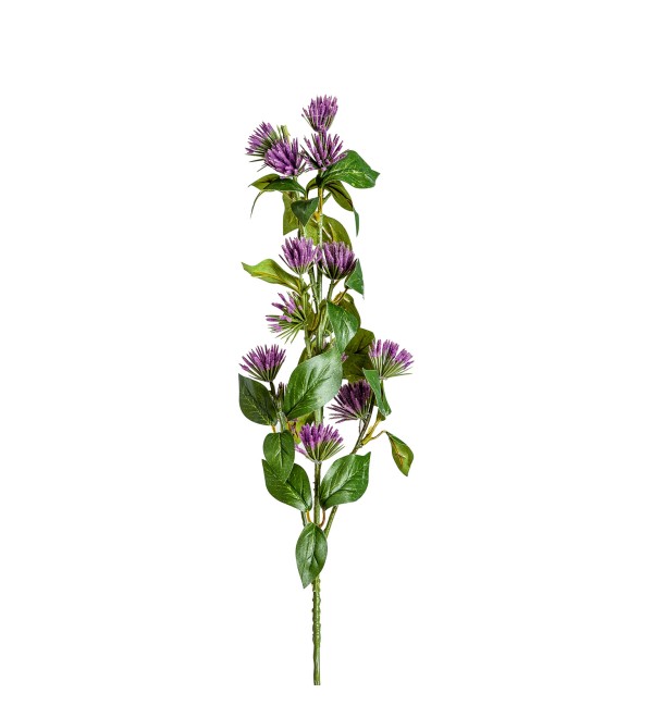 Цветок фиолетового цвета CENTAUREA