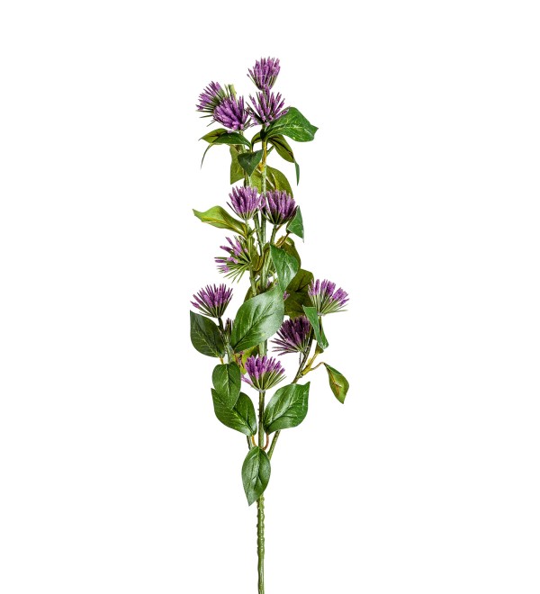 Цветок фиолетового цвета CENTAUREA