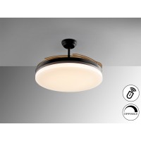 Vento Вентилятор потолочный со светодиодом черный D80/150 DIM