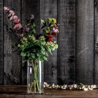 Цветок фиолетового цвета CENTAUREA