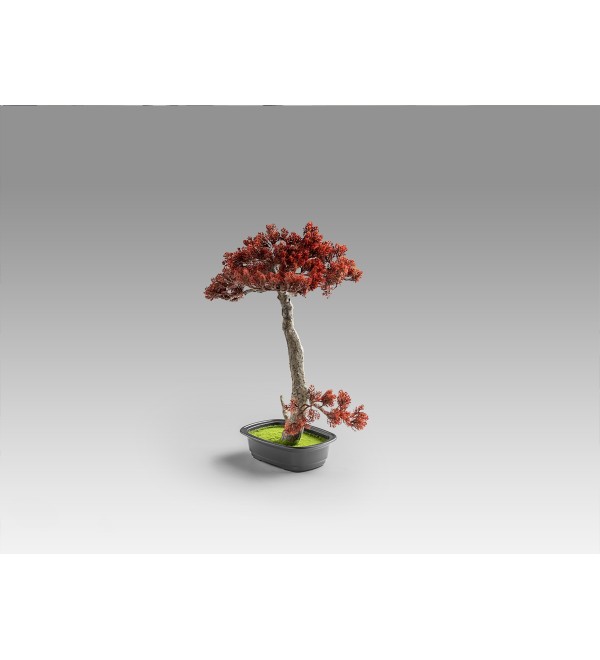 Bujin-hi bonsai 45cm набор из 2 предметов