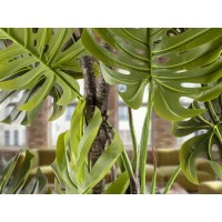 Monstera Искусственное растение H210