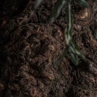 Искусственное растение OLIVO