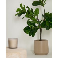 Flower Искусственное растение листовой скрипки 145см