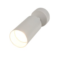 BR08075 Потолочный светильник-спот ARAS