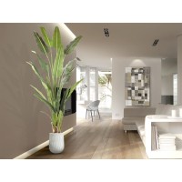 Palma viajero Искусственное растение H240