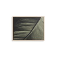 Фотография листа Foliae размер 32,5 x 42,5 см