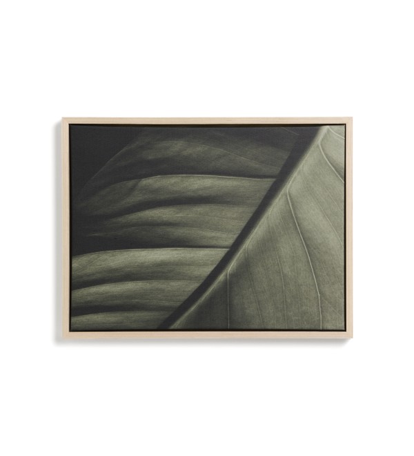 Фотография листа Foliae размер 32,5 x 42,5 см
