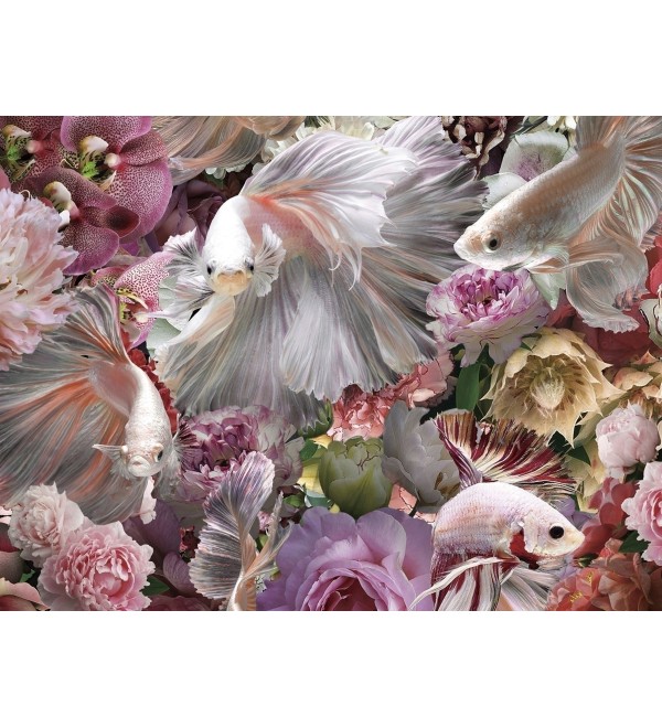 Фотография Peces Luchador Siam 120x120 см