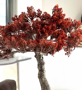 Bujin-hi bonsai 45cm набор из 2 предметов