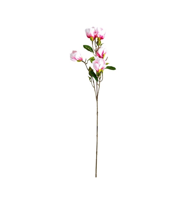 Цветок MAGNOLIA
