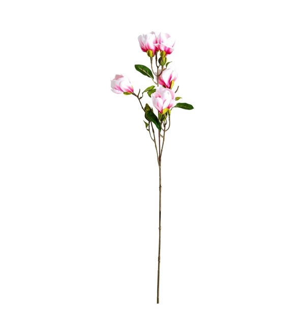 Цветок MAGNOLIA
