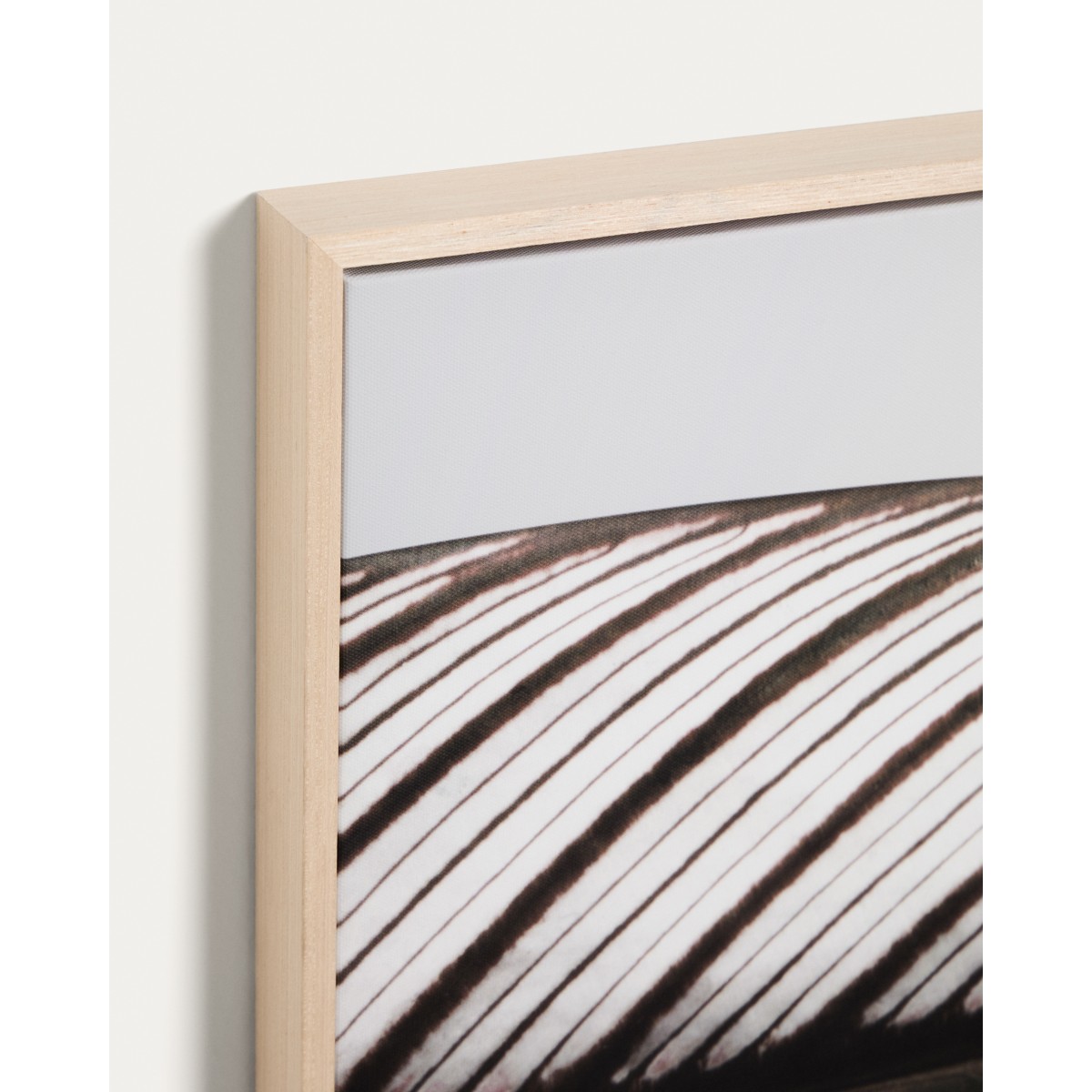 Фотография листа Foliae размер 52,5 x 62,5 см