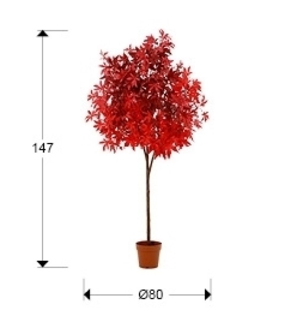 Arce rojo h147 Искусственное растение