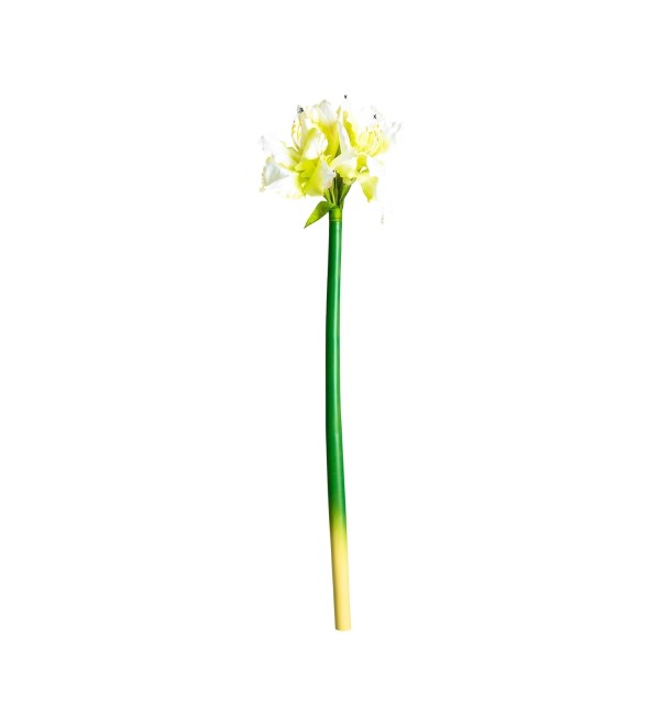 Цветок AMARYLLIS цвет белый