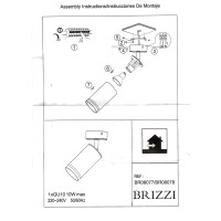 BR08077 Потолочный светильник-спот ARAS