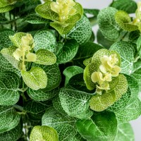 Растение искусственное EUCALIPTO зеленое