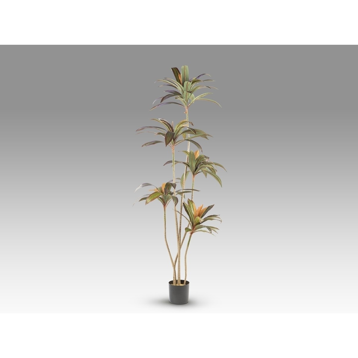Dracena roja Искусственное растение H220