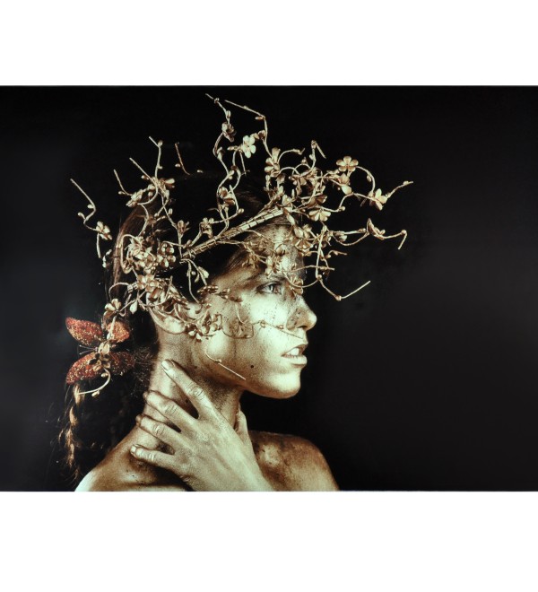 Фотография Mujer Dorada 150x100