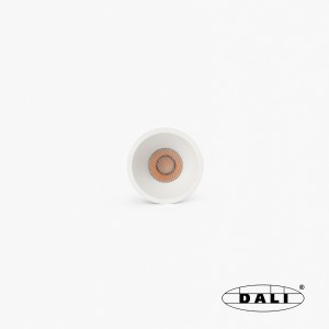 Tulipa Белый встраиваемый точечный светильник 10Вт 24° 3000K CRI90 DALI