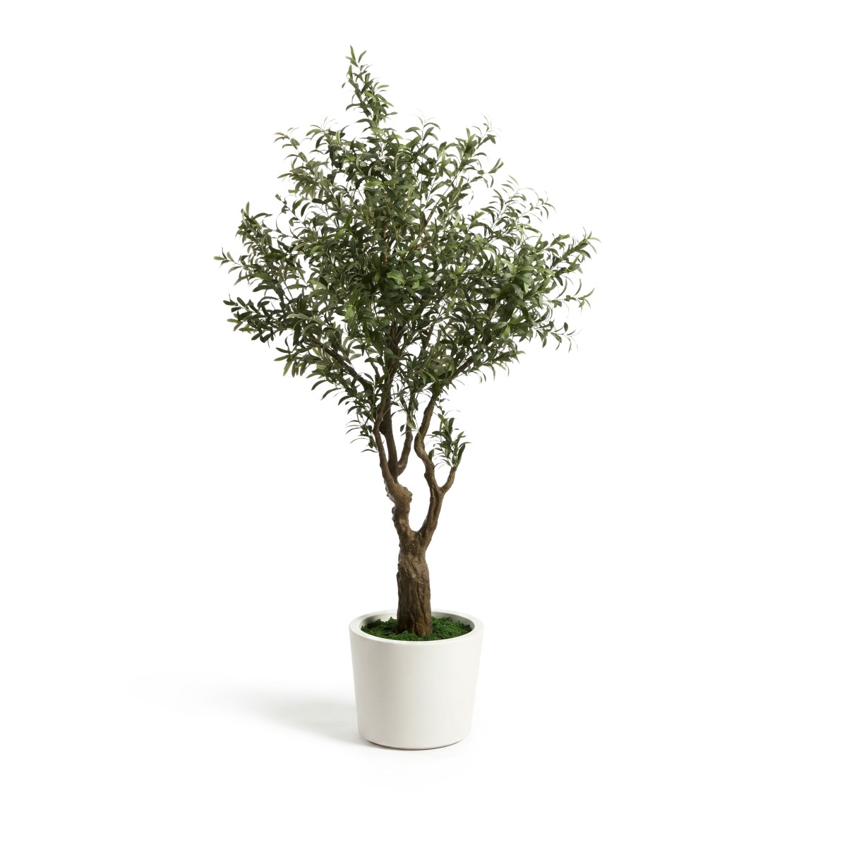 Искусственное дерево Artificial Olive в белом горшке, 210 см