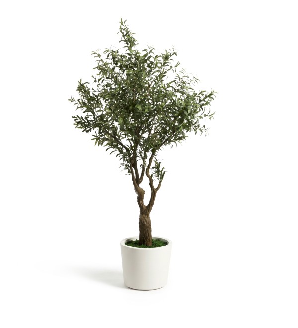 Искусственное дерево Artificial Olive в белом горшке, 210 см