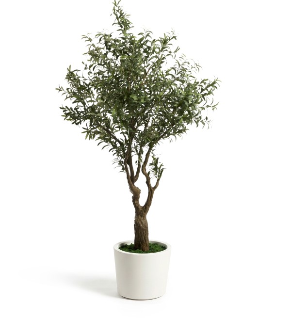 Искусственное дерево Artificial Olive в белом горшке, 210 см