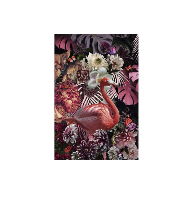 Фотография Flamenco 80x120