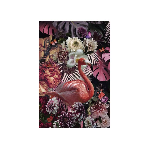 Фотография Flamenco 80x120